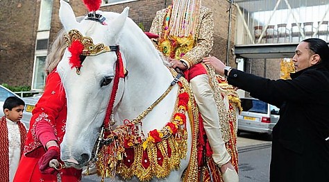 Desi Indian Wedding Horses